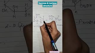 Sucrose and lactose structurechemistryshortsvideo ytshorts [upl. by Cameron553]