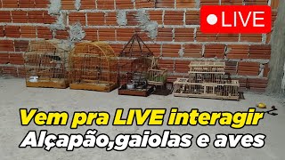 🔴Live falando sobre GAIOLAS caseiras e pássaros [upl. by Oriana]