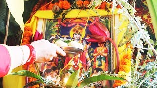 सभी एकादशियों की विधिवत पूजन विधि। Ekadashi Pooja Vidhi [upl. by Bonni459]