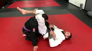 PARTNER DRILL  ARMBARTRIANGLEOMOPLATA [upl. by Wertz710]