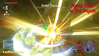 All Igneo Talus in Depth Location  Zelda Tears of The Kingdom [upl. by Issej567]