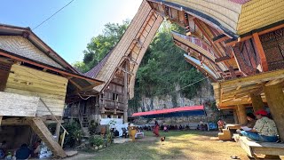 Suaya Sangalla Toraja [upl. by Niahs]