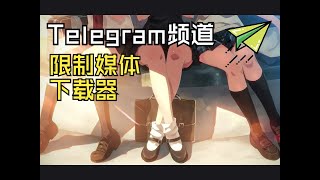 Telegram电报不允许转发下载内容下载器 [upl. by Gnud]