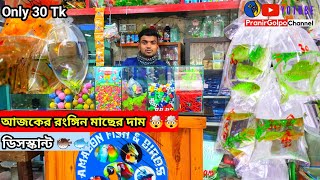 Aquarium Price In Bangladesh। Aquarium Fish Price In Khulna। Aquarium Fish Price In Bangladesh [upl. by Aratahs487]