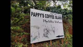 DAY 4  PAPPYS COFFEE ISLAND  COORG COFFEE PLANTATION [upl. by Baese]