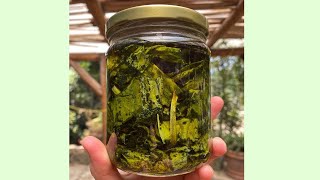 ACEITES INFUSIONADOS con plantas  herbolaria video teórico [upl. by Tiphanie]