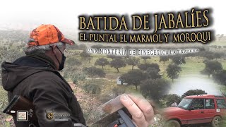 quotBATIDA DE JABALÍES PUNTAL MARMOL Y MORROQUI CON CINEGETICA LA TRAPERAquot Valsequillo 23 Enero 2021 [upl. by Onitsirc]