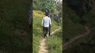 Lalitpur Bhaisiparti Magar Gau Ma Sasto । 9869330102। 6 आना को 80 लाख मात्रै । Sasto Jagga [upl. by Krever329]