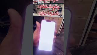 Iphone 13 pro white display after update repair in dibrugarh appleiphone teamiphone iphonexplus [upl. by Iatnwahs]