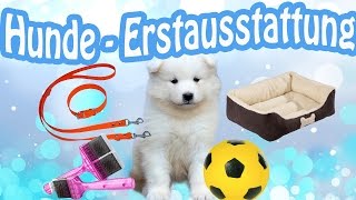 HundeErstausstattung  Welpe Erstausstattung  Das braucht ein Hund bzw Welpe [upl. by Angelita]