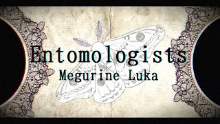 【Megurine Luka V4X English】Entomologists 【VOCALOIDカバー】 [upl. by Alenas695]