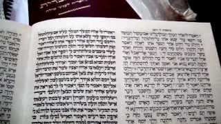 Torah Reading Parshat Vayeshev Rabbi Weisblum קריאת התורה פרשת וישב [upl. by Berkie]