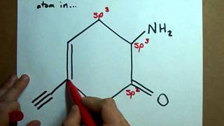 What is the hybridization of each atom in this molecule [upl. by Gassman]