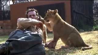 Kevin Richardson My life amonge the big cats of Africa [upl. by Faus978]