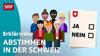 Direkte Demokratie – einfach erklärt  Kindervideos  SRF Kids [upl. by Nnylav]