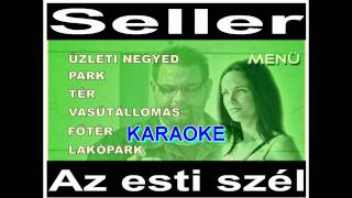 Seller  Az esti szél OFFICIAL KARAOKE HD [upl. by Downall]