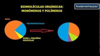 Biomoléculas Orgánicas Monómeros y Polímeros [upl. by Loziram]