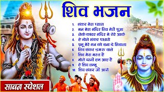 सावन स्पेशल  Shankar Mera Pyara  NonStop Shiv Bhajan  Shiv Ji Ke New Bhajan 2024  Shiva Song 🙏🏻 [upl. by Alakcim186]