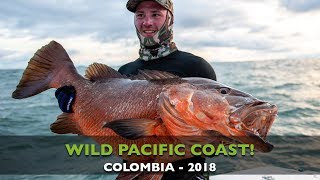 CATCHING MONSTER CUBERA SNAPPER AMBERJACK ROOSTER AND JACK AT THE COLOMBIAN PACIFIC COAST [upl. by Ayekat]