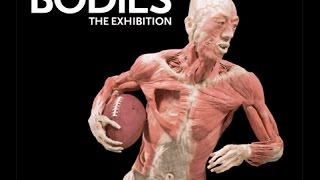 BODIES THE EXHIBITION [upl. by Odab]