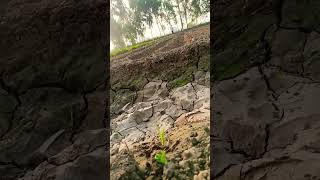 farming YouTube ke liye bahut important hai Aapko audience ko attract karne ke liye agriculture [upl. by Delbert875]