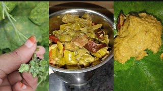 Beerakai pachadi recipe 😋 [upl. by Rondon]