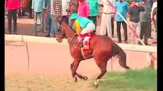 ADJUDICATE wins The Indian Turf Invitation Cup Gr1 2019 [upl. by Notxam]