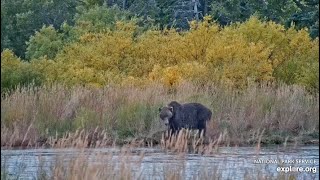 18 Makes His Way Around the Lower River  September 27 2024 exploreorg [upl. by Shep]