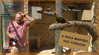 A NOVA MANSÃO DOS TURACOS A CONSTRUÇÃO DA CASA DOS SONHOS  A CASA DOS BICHOS [upl. by Shelden]