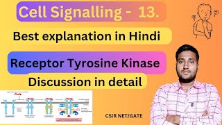 Receptor Tyrosine Kinase  Receptor Tyrosine Kinase Pathway  RTK Pathway [upl. by Nydroj]