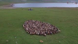 The Transcaucasian Trail An Ode to Nature and a Gift to its Explorers in Armenia [upl. by Itsur]