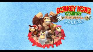 Music Donkey Kong Country Tropical Freeze  Panicky Paddles [upl. by Swetlana151]