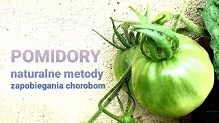 POMIDORY naturalne metody zapobiegania chorobom [upl. by Ymme]