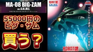 【55000円のビグザム買う？】ROBOT魂 ＜SIDE MS＞ MA08 ビグ・ザム ver ANIME 予約開始！買うかどうか迷ってるので、しっかり商品内容を確認して検討する動画です [upl. by Orvas]