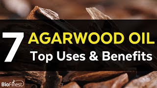 7 Uses and Benefits of the Truly Rare Agarwood Oud Essential Oil [upl. by Joo]