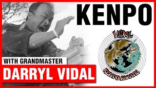 Chinese Kenpo with Grandmaster Darryl Vidal [upl. by Jarl987]