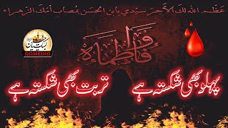 Pehlu Bhi Shikasta Hai Turbat Bhe Shikasta Ha I Marsiya Hazar Fatima I Syed Nadeem Qasim I AAMedia [upl. by Descombes]