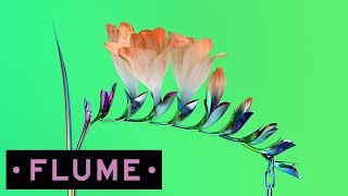 Flume  v [upl. by Katlaps980]