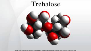 Trehalose [upl. by Paresh]