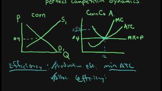 perfect competition 8 efficiency of the long run equilibrium [upl. by Susanne]