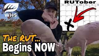 The Whitetail Rut Begins Now  Dont Miss Out [upl. by Ymarej]