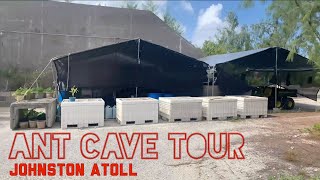 Tour of the Ant Cave on Johnston Atoll CAST XVIII [upl. by Forest]