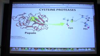 13 Biochemistry Catalytic Mechanisms II Lecture for Kevin Aherns BB 450550 [upl. by Voltmer722]