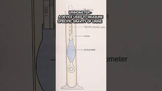 Urinometer l Urine Test urine medical pathology biochemistry lab shorts [upl. by Lyn]