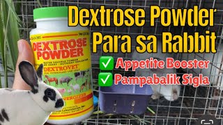 Dextrose Powder para sa Rabbit [upl. by Aikemot75]