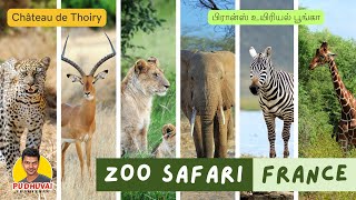 France Zoo Safari Thoiry  Lumieres Sauvages  Château de Thoiry  பிரான்ஸ் உயிரியல் பூங்கா [upl. by Erual]