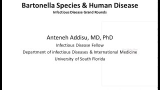 Bartonellosis  Antoneh Addisu MD [upl. by Shoemaker713]