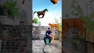 Flying horse🐎 cat 🐱🐱 🐔🐔 funny comedy vfx animals parrot ayanmechanic boys [upl. by Asilanom106]