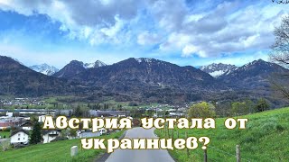 Австрия устала от украинцев [upl. by Omidyar723]