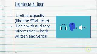 Working Memory Model  Cognitive Psychology  Stage 1 Psychology [upl. by Drofhsa879]